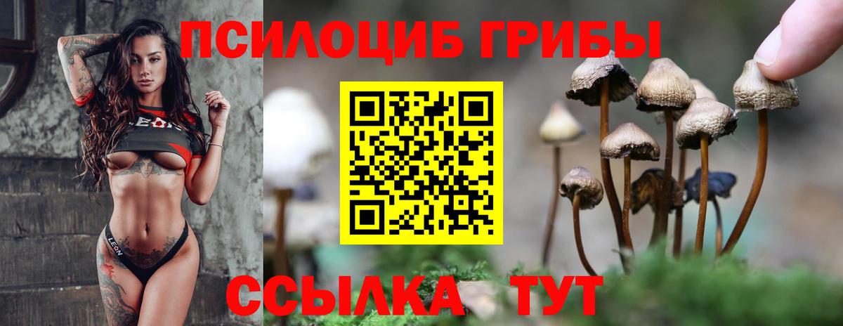 купить наркотики сайты  Псилоцибиновые грибы ЛСД  Вход с VPN  Будённовск 